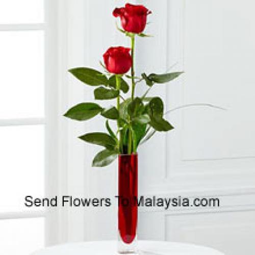 2 Douces Roses Rouges en Vase