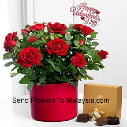 24 Red Roses With Some Ferns In A Big Vase And A Box Of Godiva Chocolates (We reserve the right to substitute the Godiva chocolates with chocolates of equal value in case of non-availability of the same. Limited Stock)